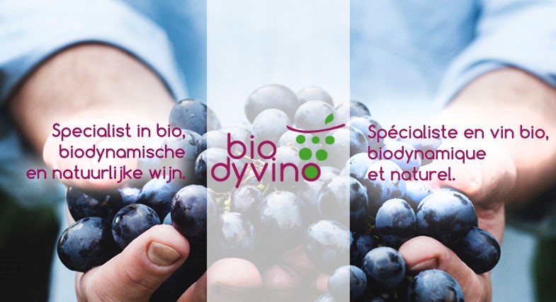 Biodyvino: goede wijn, zonder bittere nasmaak - Trade for Development Centre